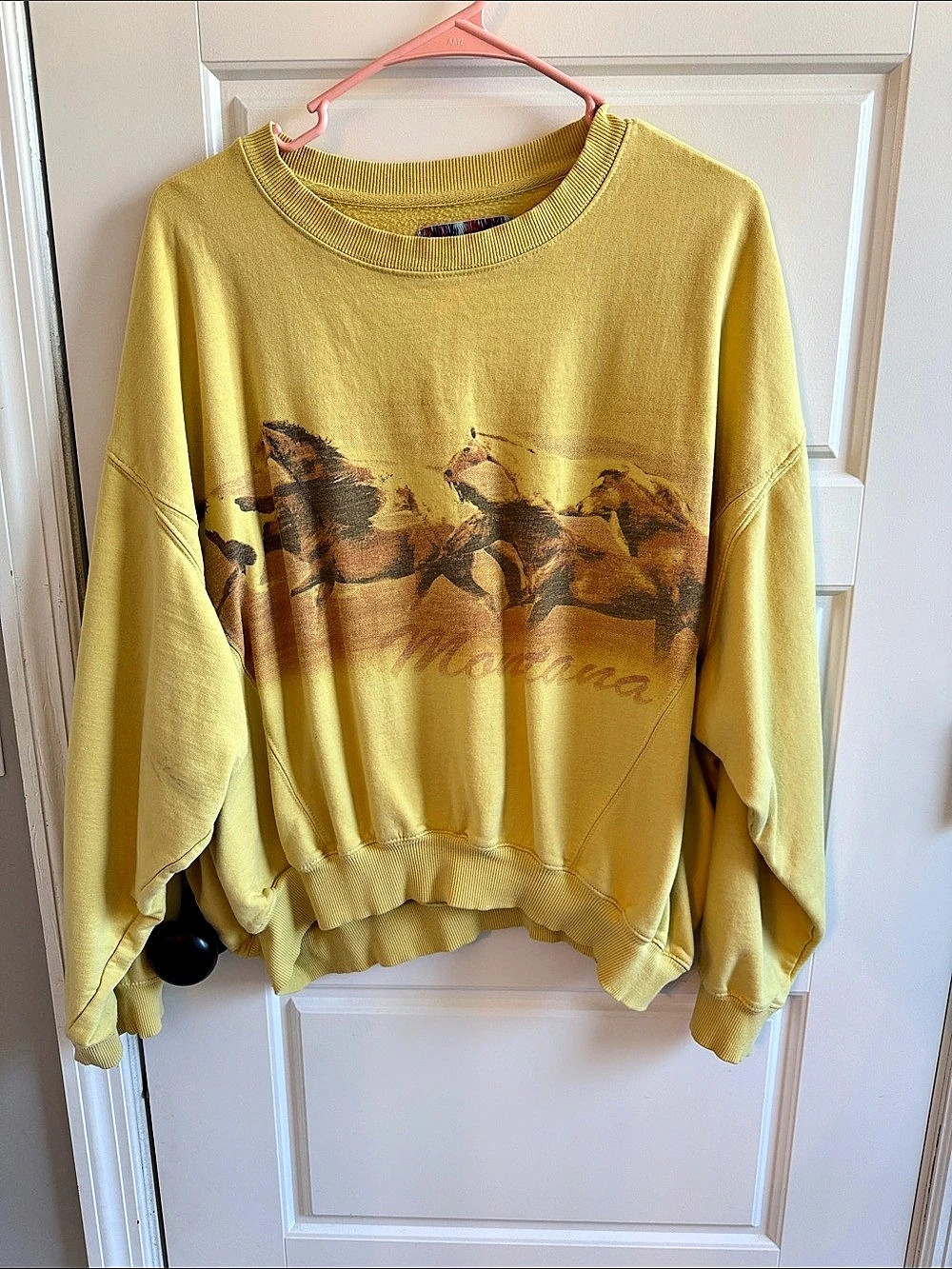 Urban Outfitters Montana Wild Horses Oversized Sweatshirt Graphic Sweatshirt in